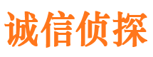 蓝山市侦探调查公司